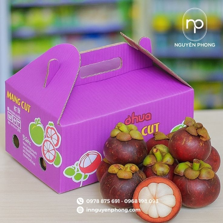 Mẫu thùng carton đựng măng cụt thiết kế quai cầm nổi bật